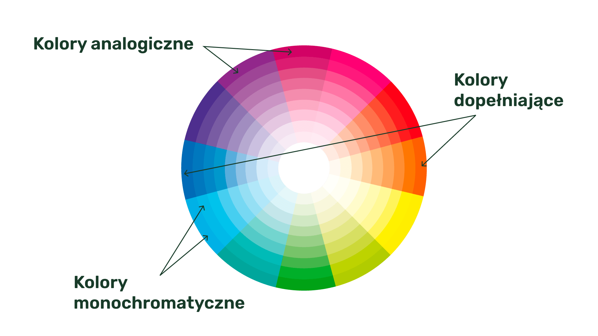 Koło barw: kolory analogiczne, dopełniające i monochromatyczne