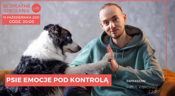 Marketing interakcyjny - webinar