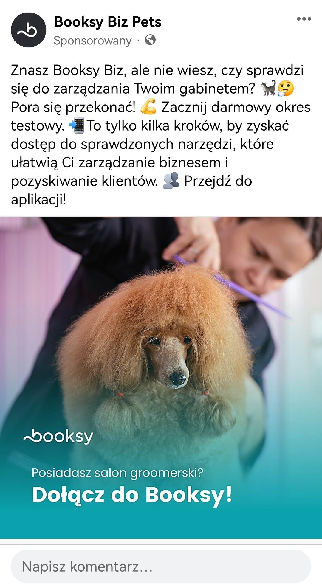 REmarketing Facebook - Booksy Biz Pets