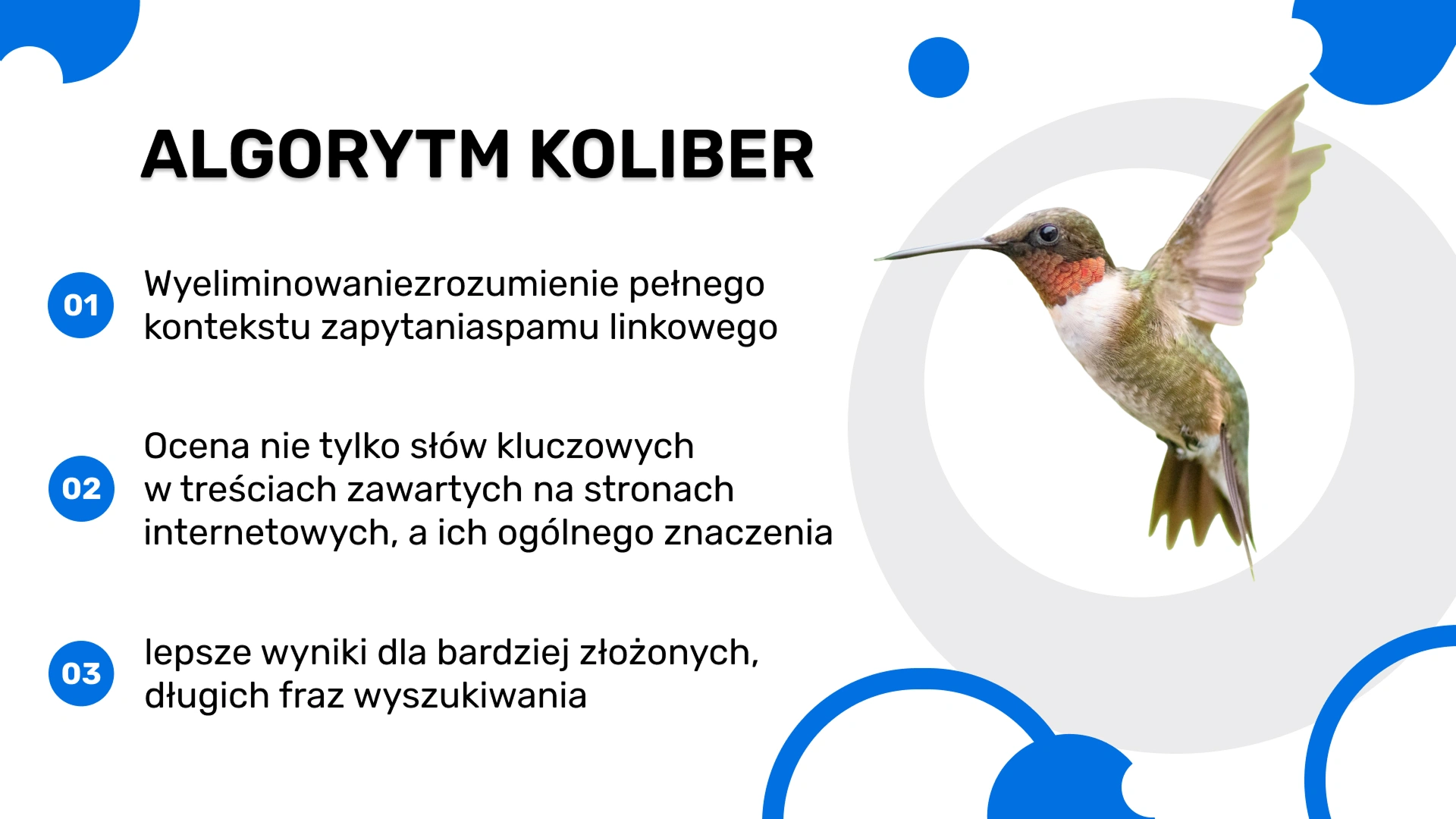 Algorytm Google Koliber