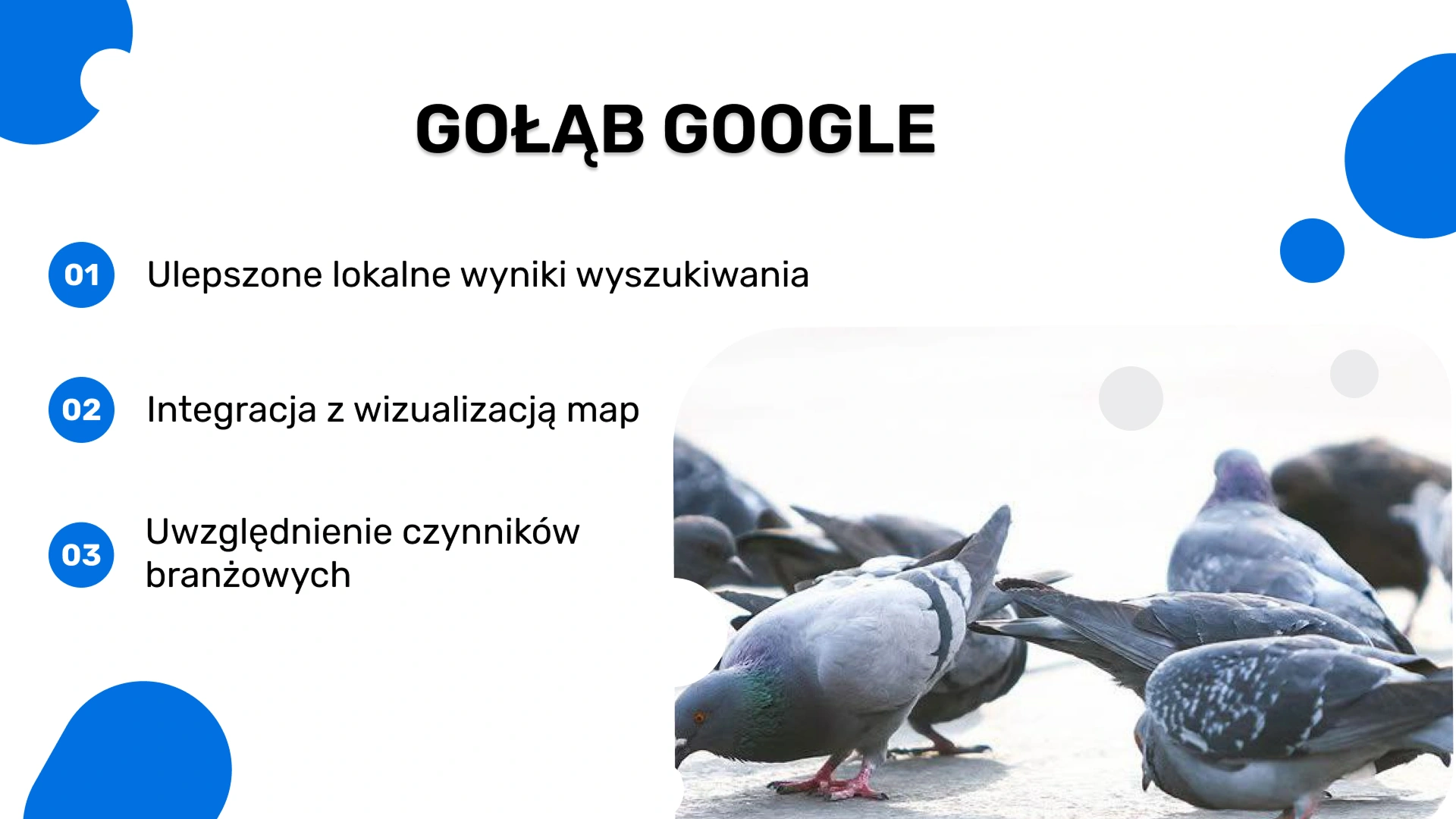 Gołąb Google