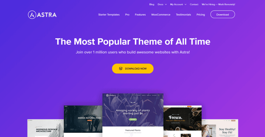 Motyw Astra WordPress 
