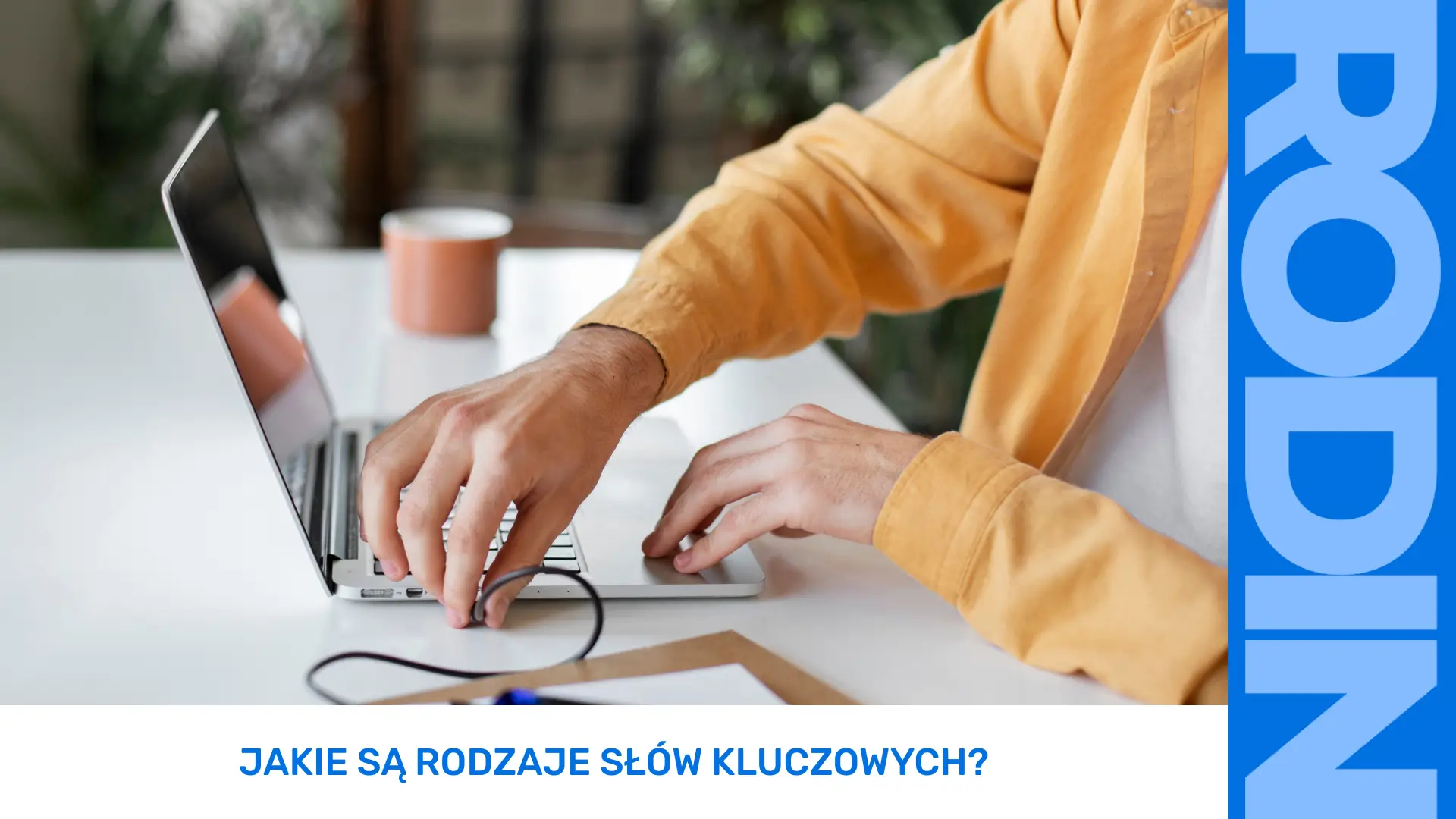 Jakie-sa-rodzaje-slow-kluczowych