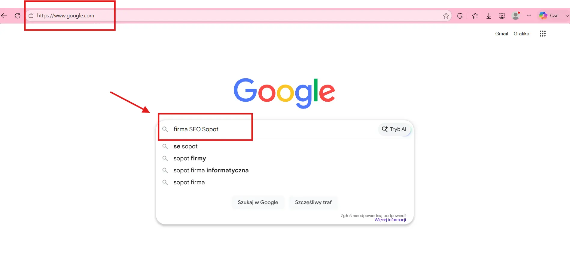 Klasyczna wyszukiwarka SEO